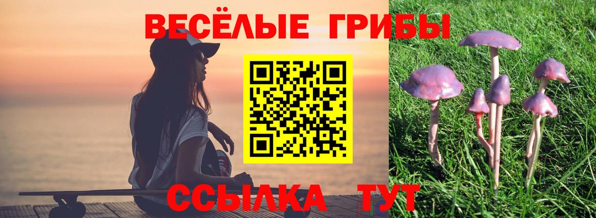 Галлюциногенные грибы Magic Shrooms Асбест
